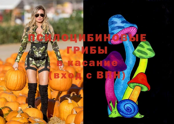 Альфа ПВП Богородск