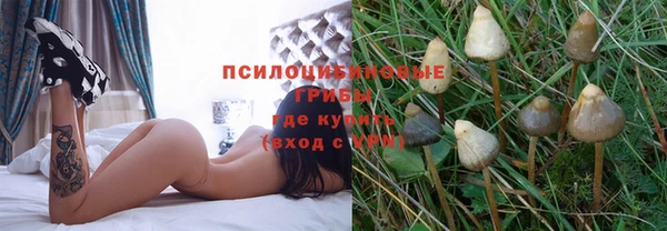 spice Беломорск
