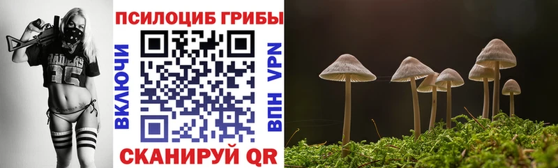 что такое   Очёр  Галлюциногенные грибы Magic Shrooms 